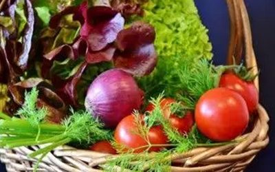 Pourquoi une alimentation hypotoxique permet de rester en forme quand on avance dans l’âge ?