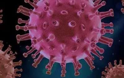 A-t-on plus de risques de contracter des virus lorsqu’on vieillit ?