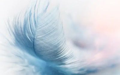 Après 50 ans : 4 clés pour ne pas prendre du poids quand on ne peut plus autant bouger qu’avant