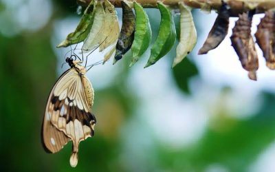 Bien vieillir se résume-t-il à « je ne fais pas mon âge » ?