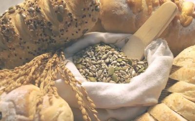 Index glycémique – ménopause – ostéoporose