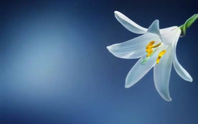 Ce que vous devez savoir cet été pour prévenir l&rsquo;ostéoporose