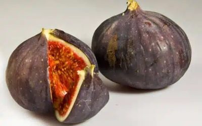 Figues, rentrée, ménopause et ostéoporose